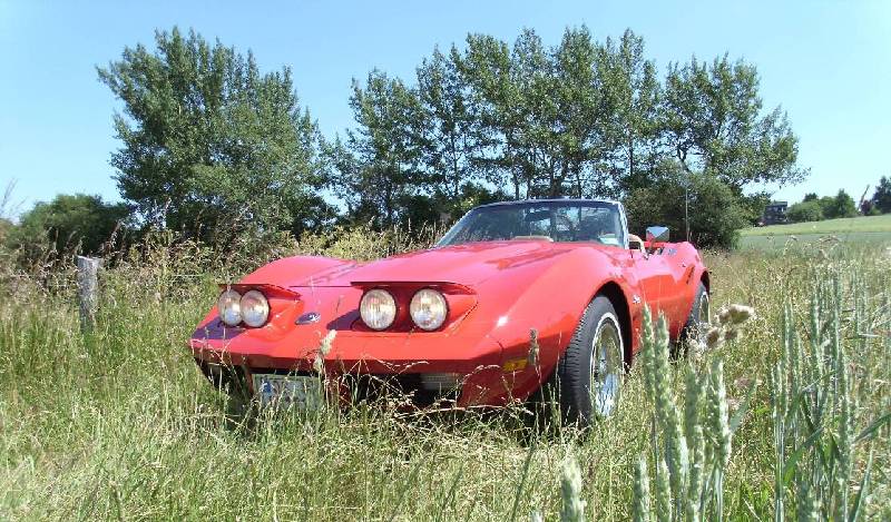 MARTINSRANCH 73 Corvette (2) 